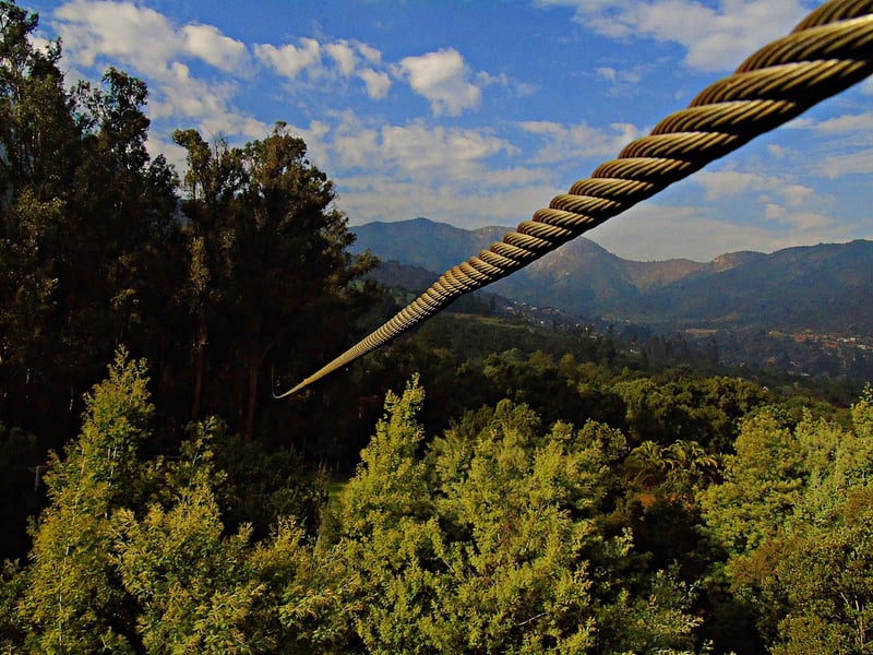 Zip Lining Adventure